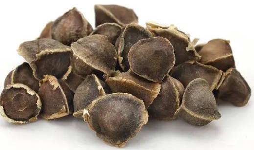 辣木籽有哪些功效？