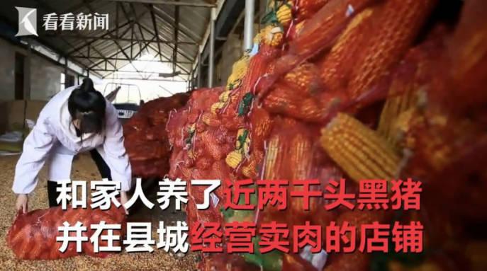 95后在養豬場：兩年升場長，工資比同學都高，但孤獨是常態