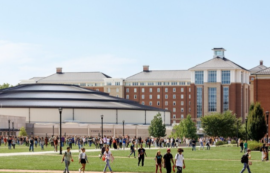 自由大學招收了歷史上最大的學生群體 在線教育項目創下新紀錄