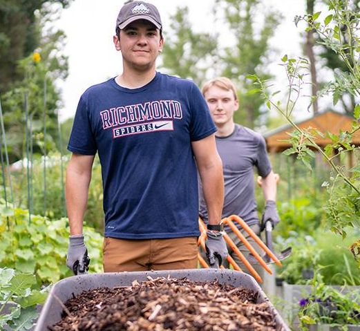 里士滿大學被評為 50 強綠色學院