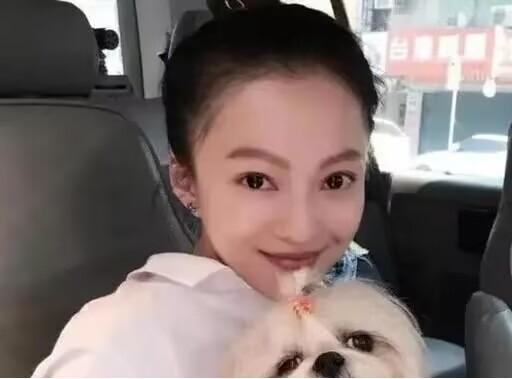 張韶涵發文悼念自己的狗狗