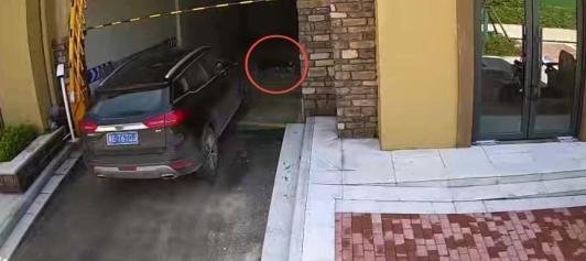 清潔工躺車庫被碾身亡 司機被判無罪