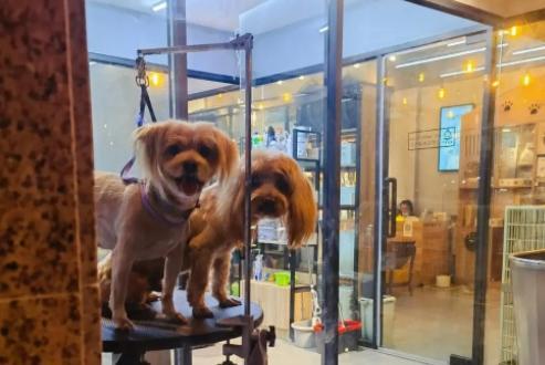 烏魯木齊被罰50萬元店鋪負責人發聲