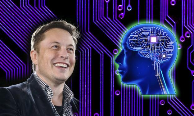 涉違反動物福利法 馬斯克＂腦機接口＂研究接受調查