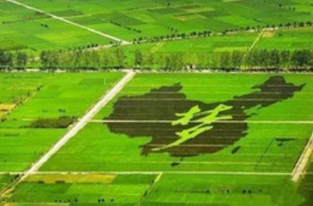 通往農業強國之路這樣走