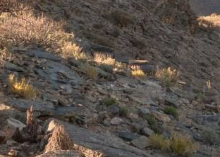 普林斯頓地質學家通過巖石創建3-D虛擬之旅來解開化石之謎