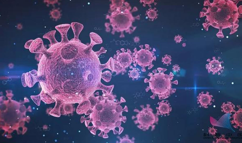 專家稱新冠病毒有點傳不動了（降低至5.5%）