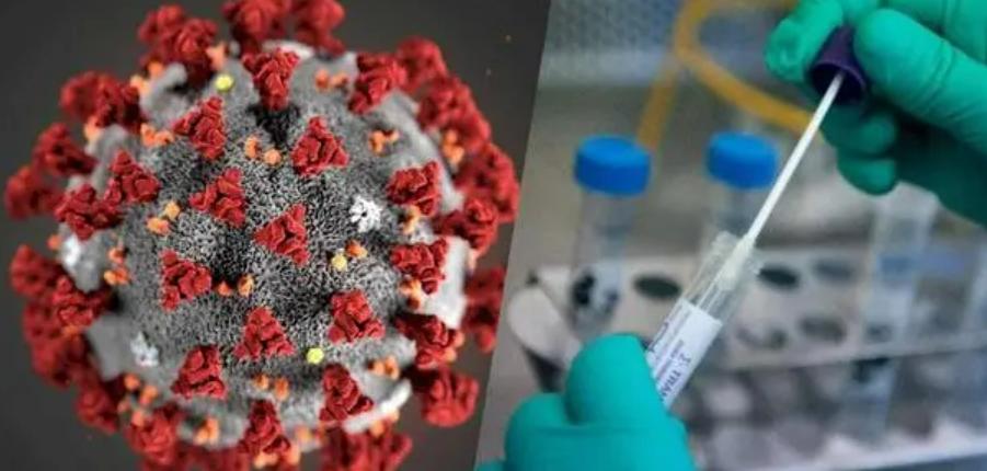 考慮研發新冠病毒變種？輝瑞回應（希望澄清事實）