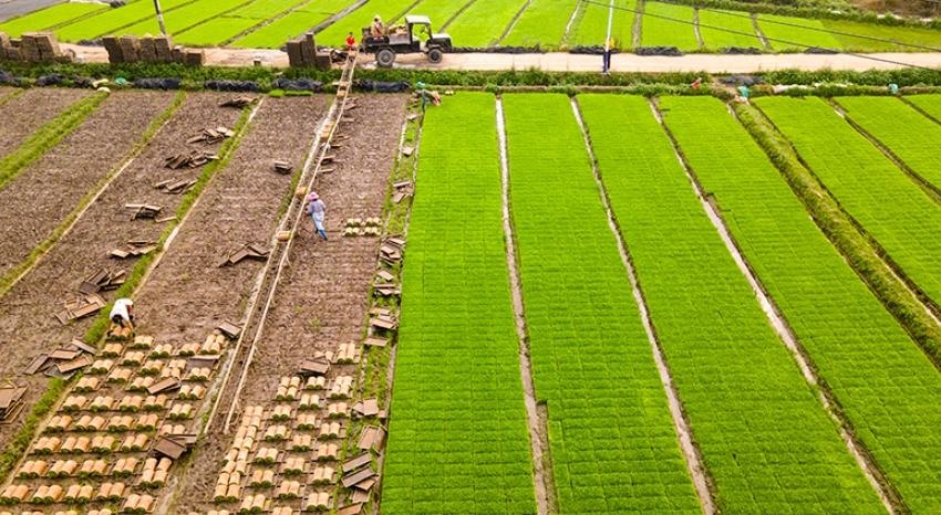 全國備春耕從南到北陸續展開（多部門保障春季農業生產）