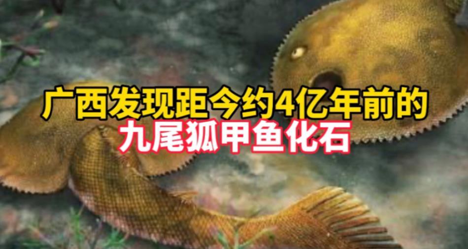 發現新屬種九尾狐甲魚，揭開盔甲魚類尾鰭的神秘面紗