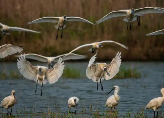 珍愛自然，留住美好,第54個世界地球日細節盤點