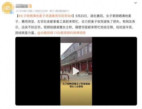 鄰居團(tuán)結(jié)合力，幫助女子晾曬滿地麥子避免損失