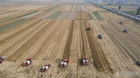 河南省夏季播種進(jìn)展順利，面積達(dá)預(yù)期的90.5%