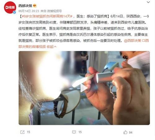 9歲女孩被貓抓傷發高燒14天：體溫達40度，伴有寒顫和四肢發涼