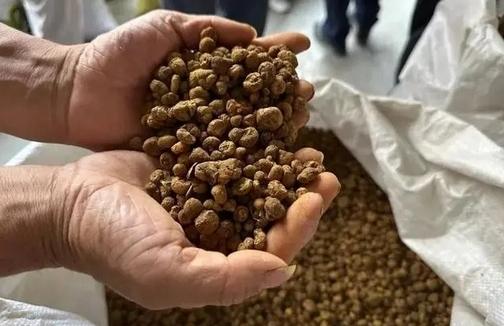 浙江一藥農賣元胡10分鐘賺52萬元，業內人士稱為最魔幻一年