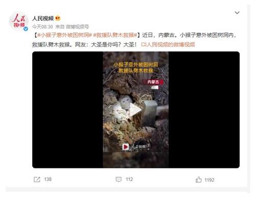 小猴子被困樹洞，救援隊伍劈木救援引起網友大圣聯想