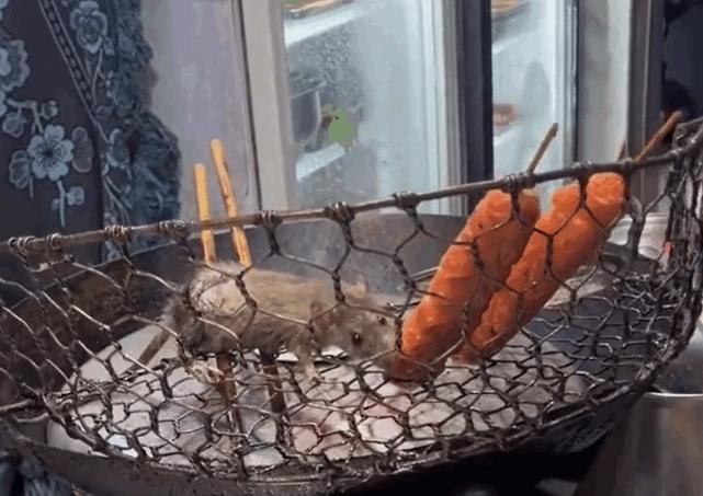 揭露炸串店老鼠啃食香腸事件：引發網友關注，食品安全亟待解決！