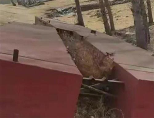 私搭浮橋引發(fā)爭(zhēng)議，當(dāng)事人黃德義表示不滿判刑