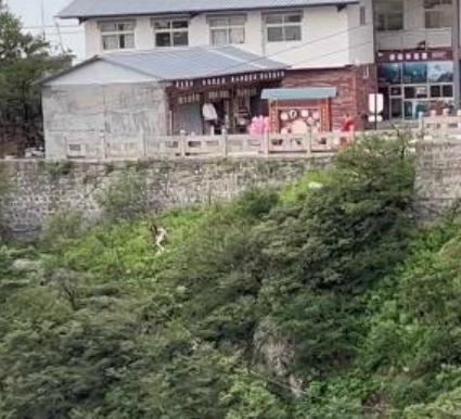 情侶吵架女方跳崖？景區回應：女子擦傷，幸虧男朋友及時救上來