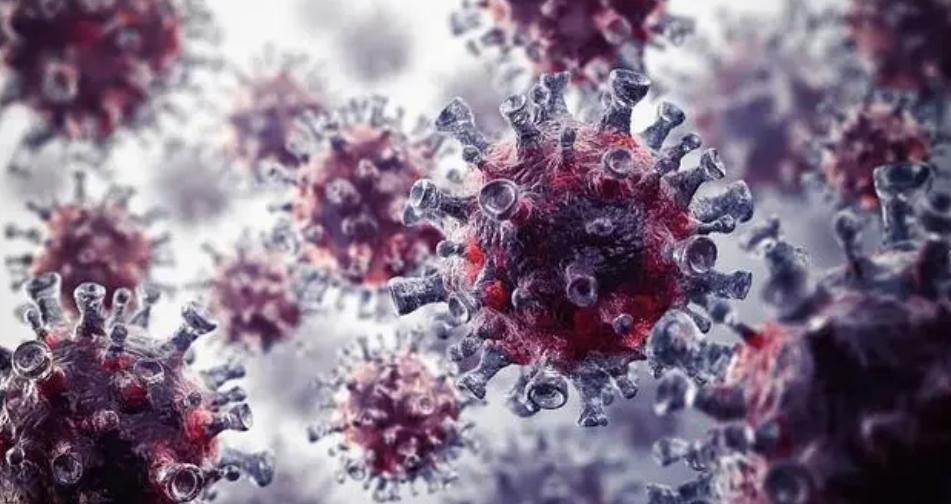 上海陽(yáng)性人數(shù)增多，下一波疫情預(yù)測(cè)或在今秋11月左右到來(lái)