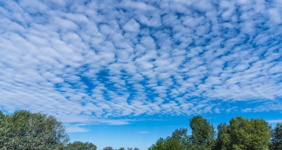 山東德州5.5級(jí)地震引發(fā)爭(zhēng)議，江蘇現(xiàn)象引發(fā)熱議