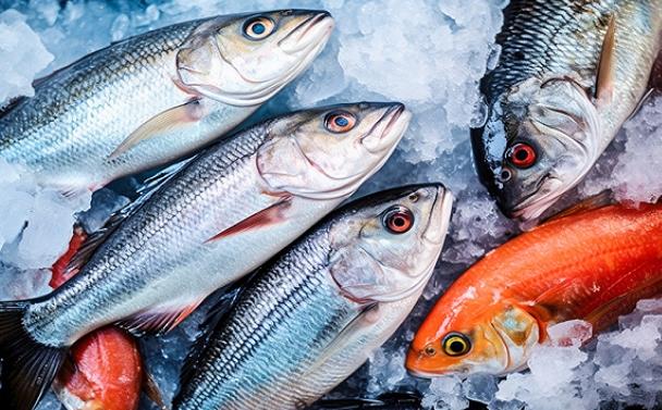 中國停止進(jìn)口日本水產(chǎn)品：供應(yīng)鏈調(diào)整、消費(fèi)變革與旅游影響