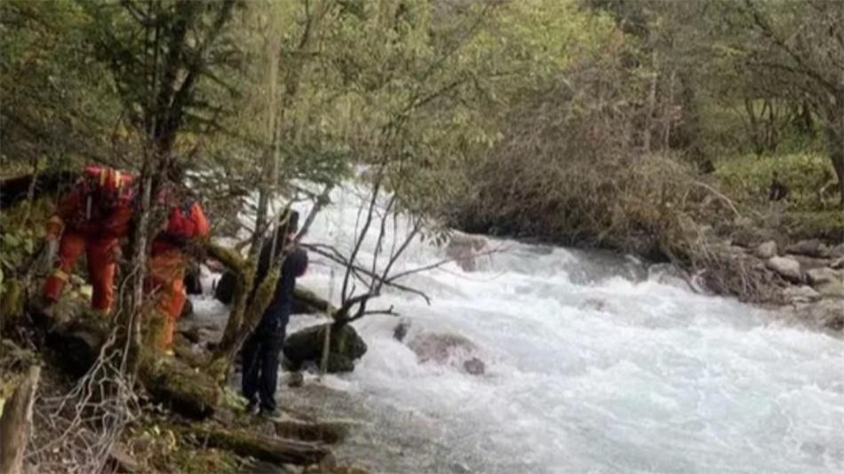 四川臥龍鄧生溝：悲劇警示，游客拍照溺亡，管理局已采取緊急措施