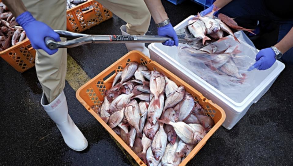 福島核污染引發 日本對華水產品出口暴跌99%