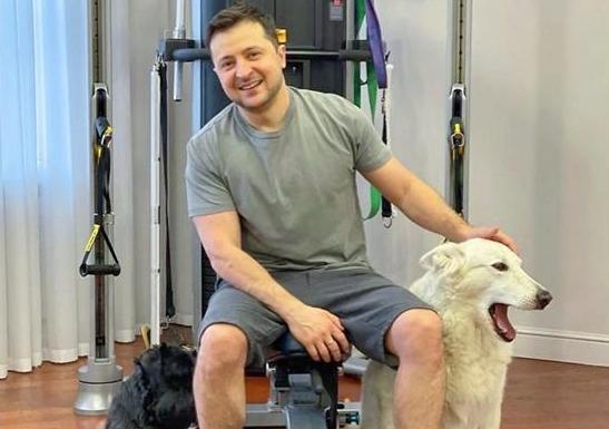 澤連斯基：讓狗來管理世界？解讀烏克蘭總統的反戰思考