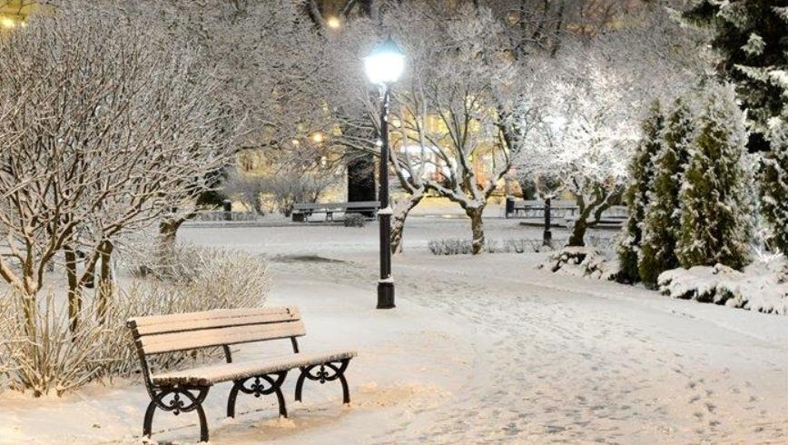 極地渦旋影響：中國寒潮背后的氣候變化挑戰