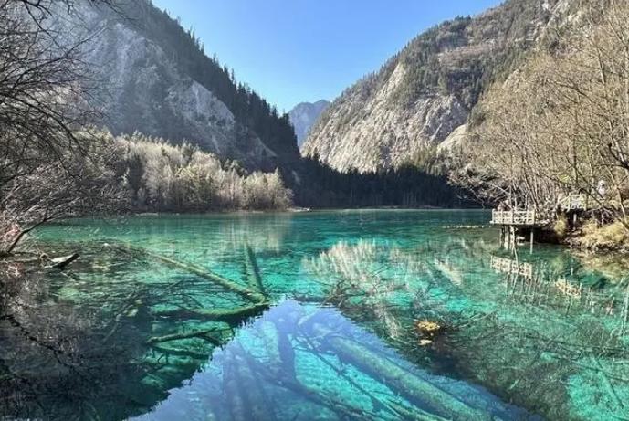 春節假期多地景區福利大放送！