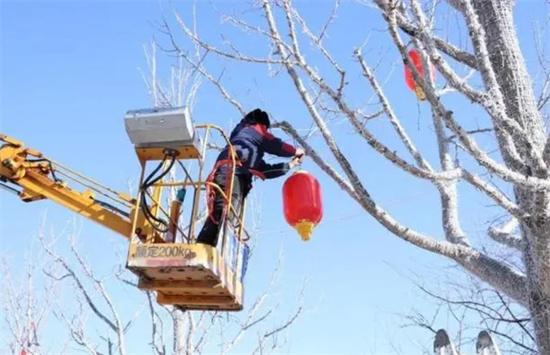 延慶區迎新春：環保理念下打造溫馨喜慶的節日氛圍