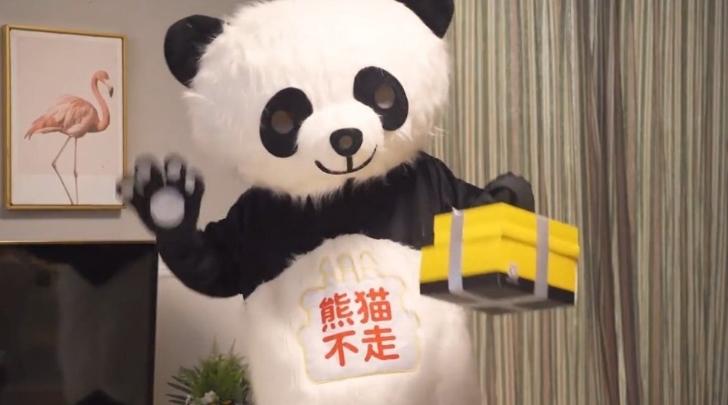 熊貓不走蛋糕突然全國停工！員工揭露：老板失聯