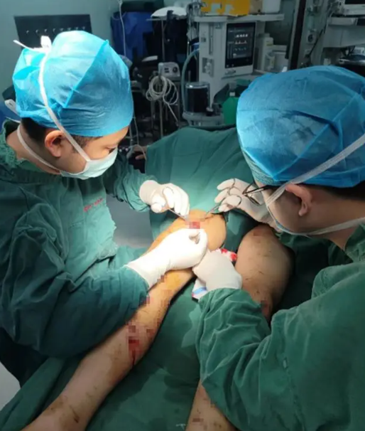 如何有效應對被家養狗咬傷？專家詳解處理方法