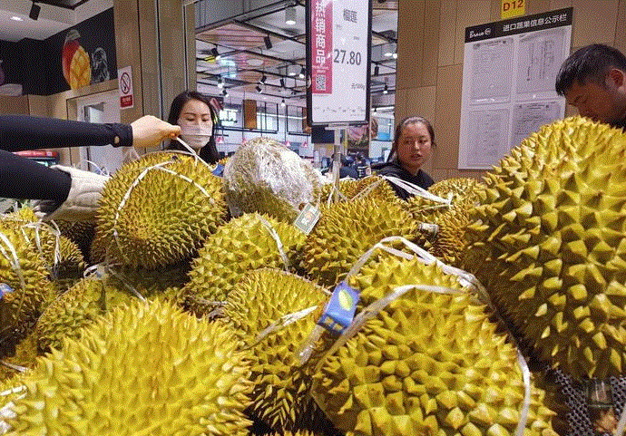 榴蓮市場調查：價格下跌背后的供需平衡